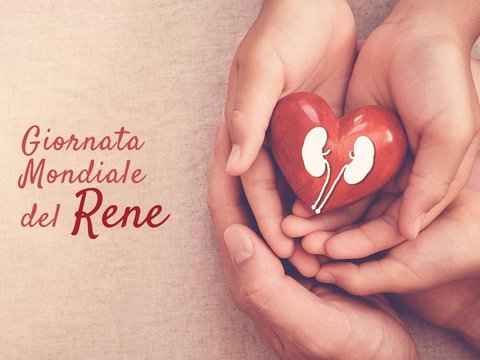 giornata mondiale del rene