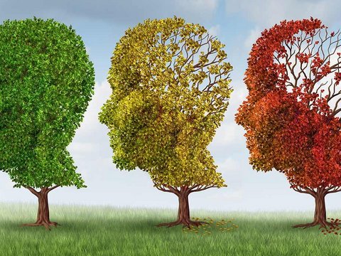Demenza nei pazienti con Insufficienza Renale Cronica