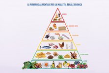 piramide alimentare malattia renale