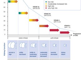 I 5 stadi CKD stages e i relativi sintomi