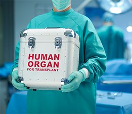 Infermiera con contenitore per trasporto organi umani per trapianto